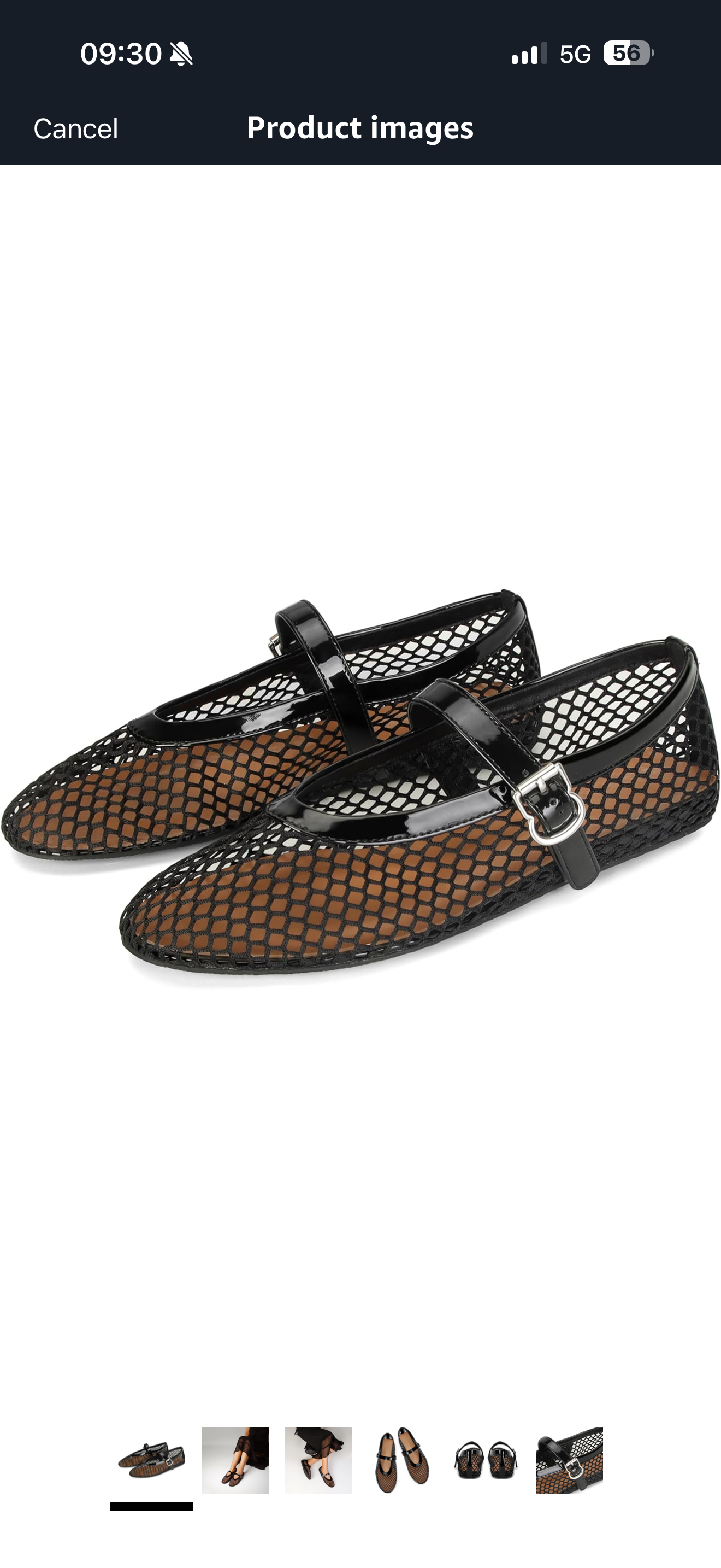 Noir Mesh Ballerina