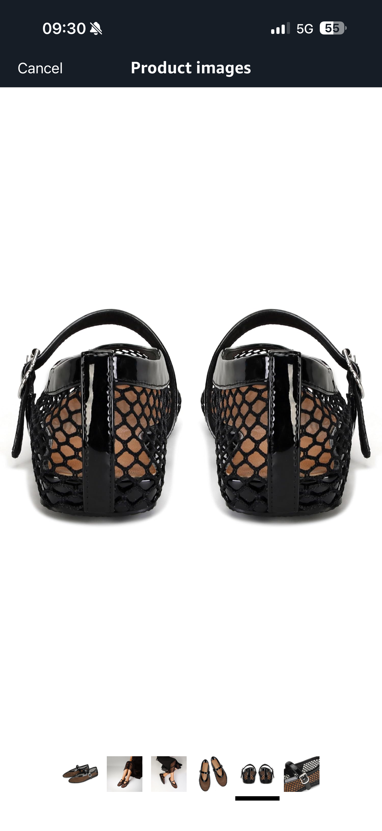 Noir Mesh Ballerina
